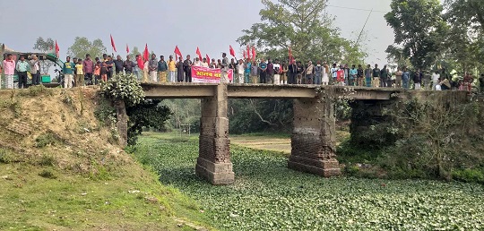 image-here
